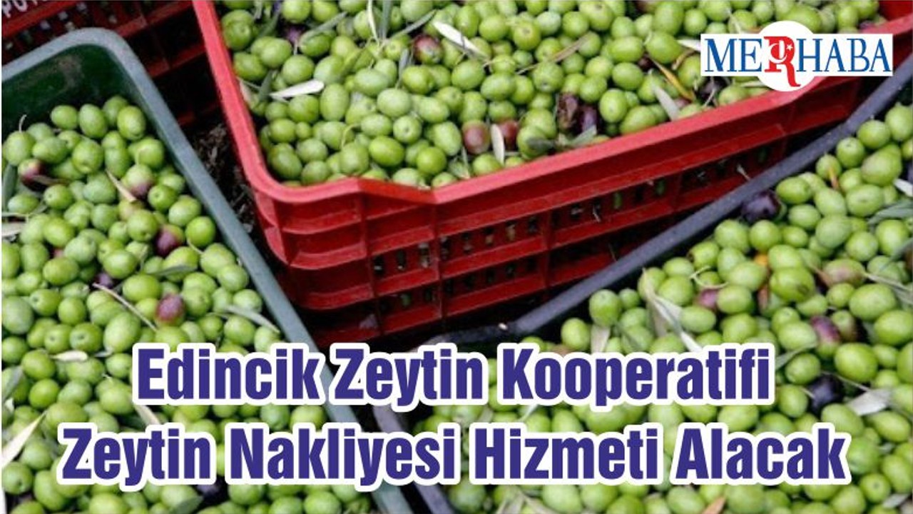 Edincik Zeytin Kooperatifi Zeytin Nakliyesi Hizmeti Alacak
