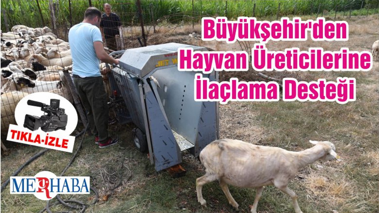 Büyükşehir'den Hayvan Üreticilerine İlaçlama Desteği
