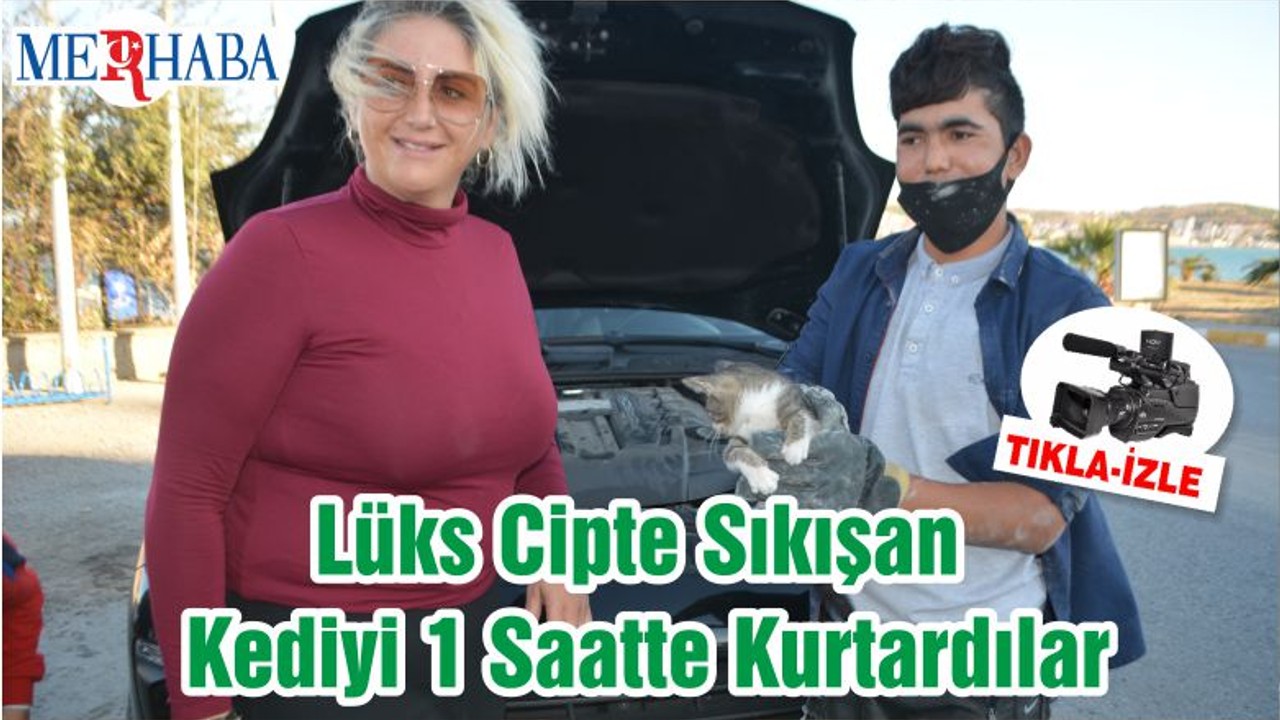 Lüks Cipte Sıkışan Kediyi 1 Saatte Kurtardılar