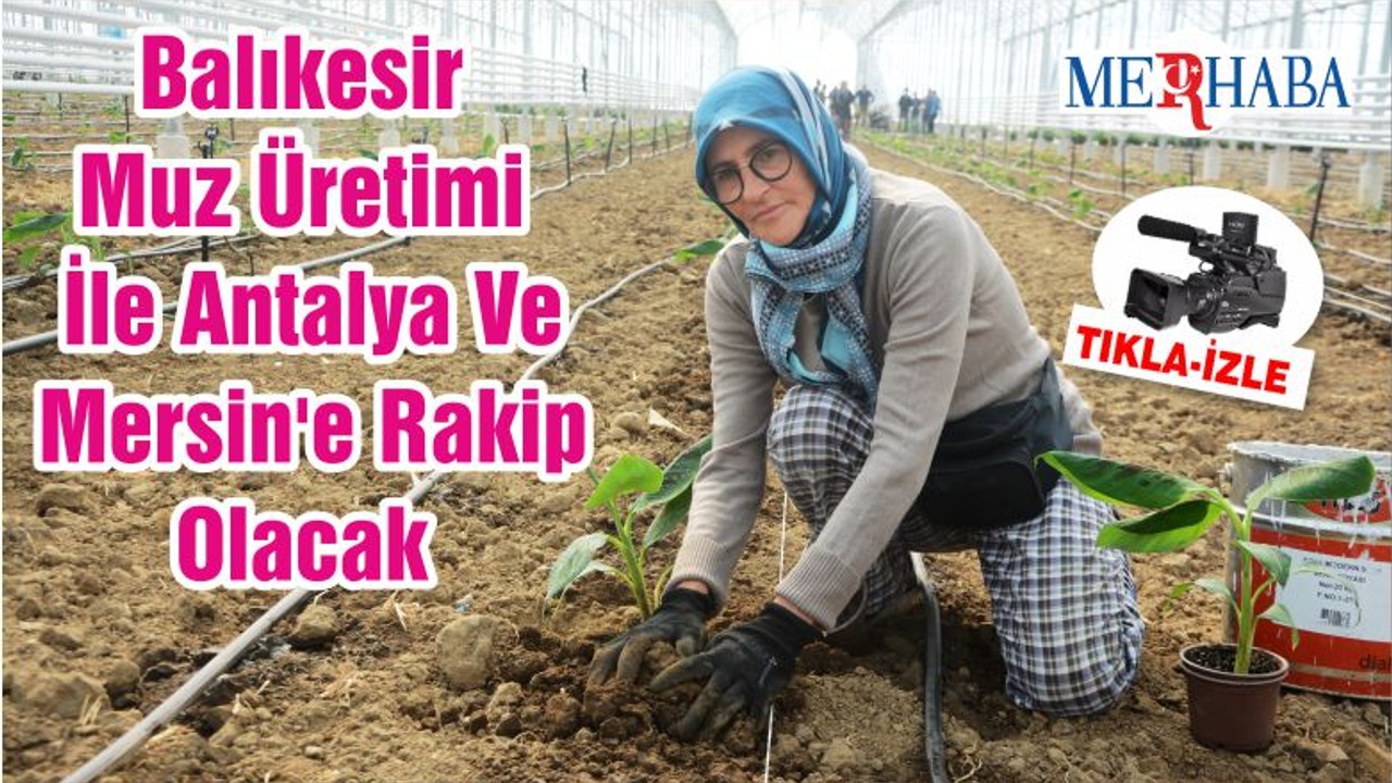 Balıkesir Muz Üretimi İle Antalya Ve Mersin'e Rakip Olacak