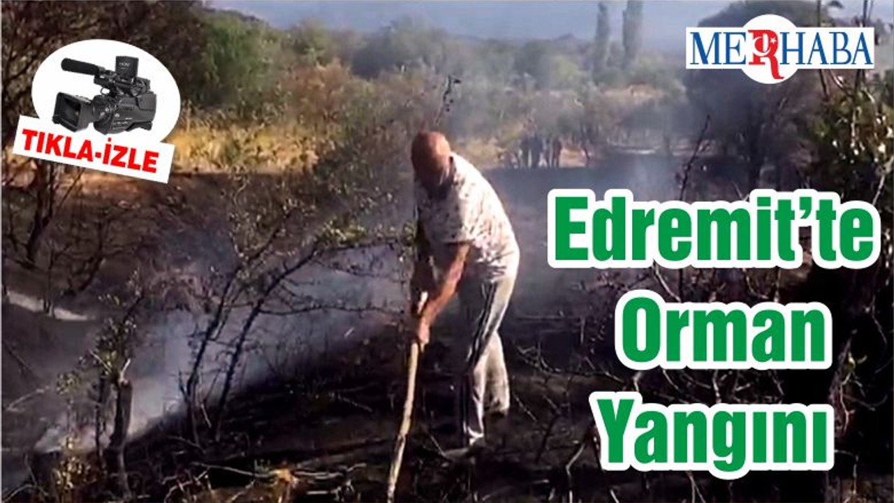 Edremit’te Orman Yangını