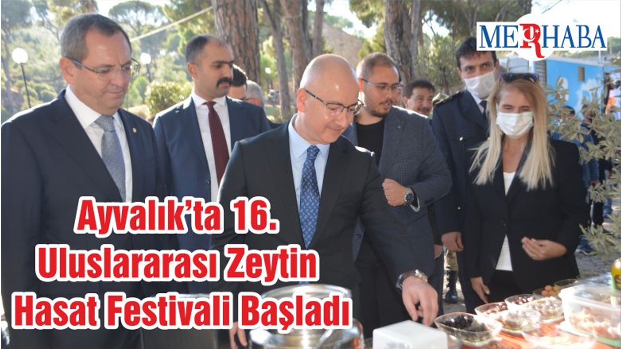 Ayvalık’ta 16. Uluslararası Zeytin Hasat Festivali Başladı