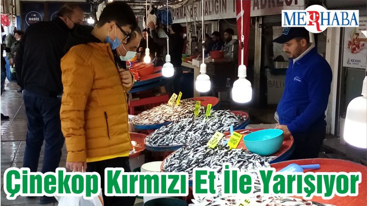 Çinekop Kırmızı Et İle Yarışıyor