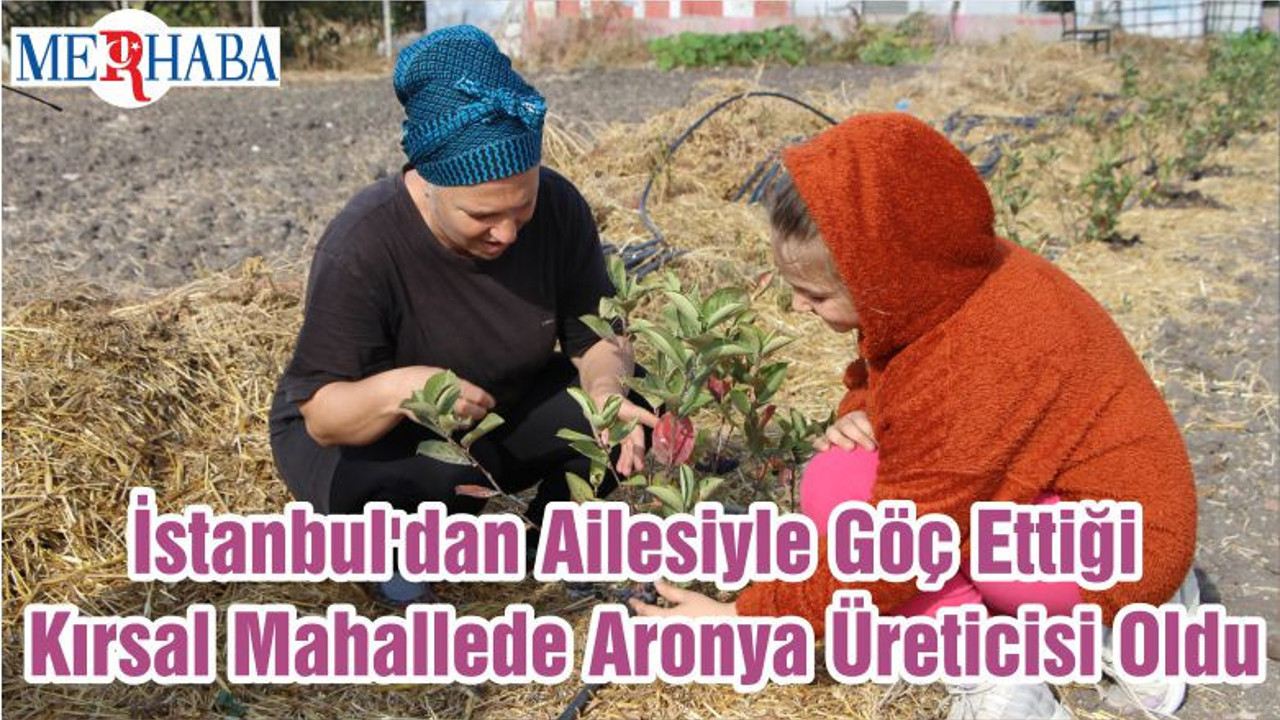 İstanbul'dan Ailesiyle Göç Ettiği Kırsal Mahallede Aronya Üreticisi Oldu