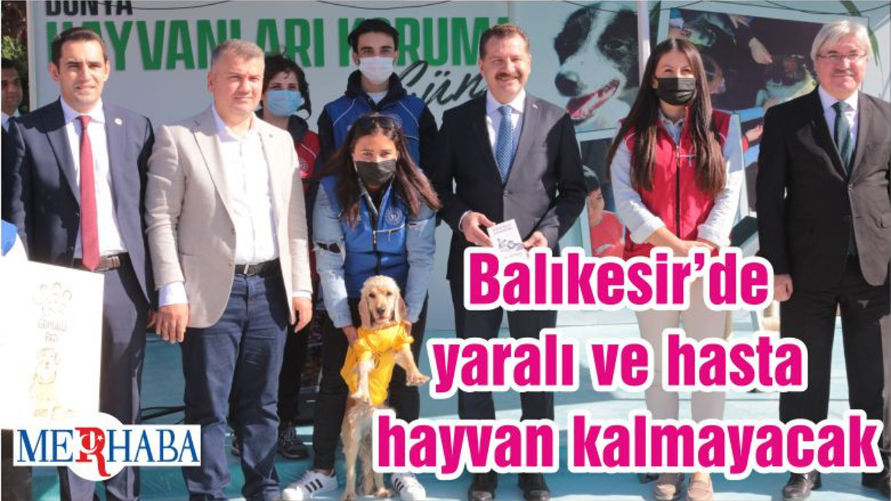 Balıkesir’de yaralı ve hasta hayvan kalmayacak