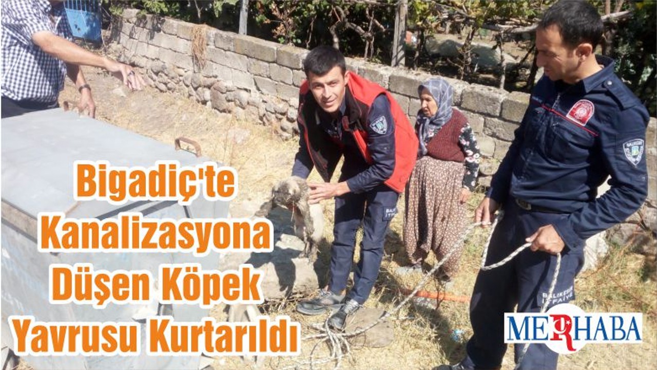 Bigadiç'te Kanalizasyona Düşen Köpek Yavrusu Kurtarıldı