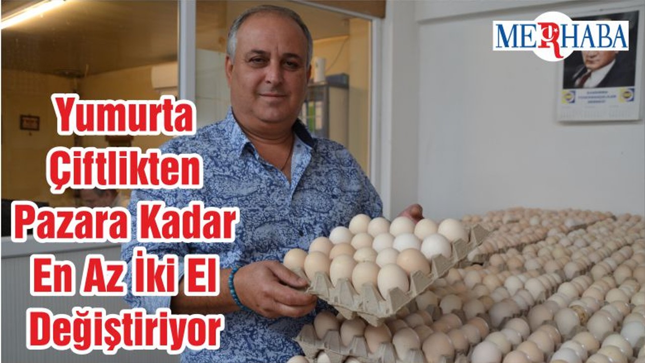 Yumurta Çiftlikten Pazara Kadar En Az İki El Değiştiriyor