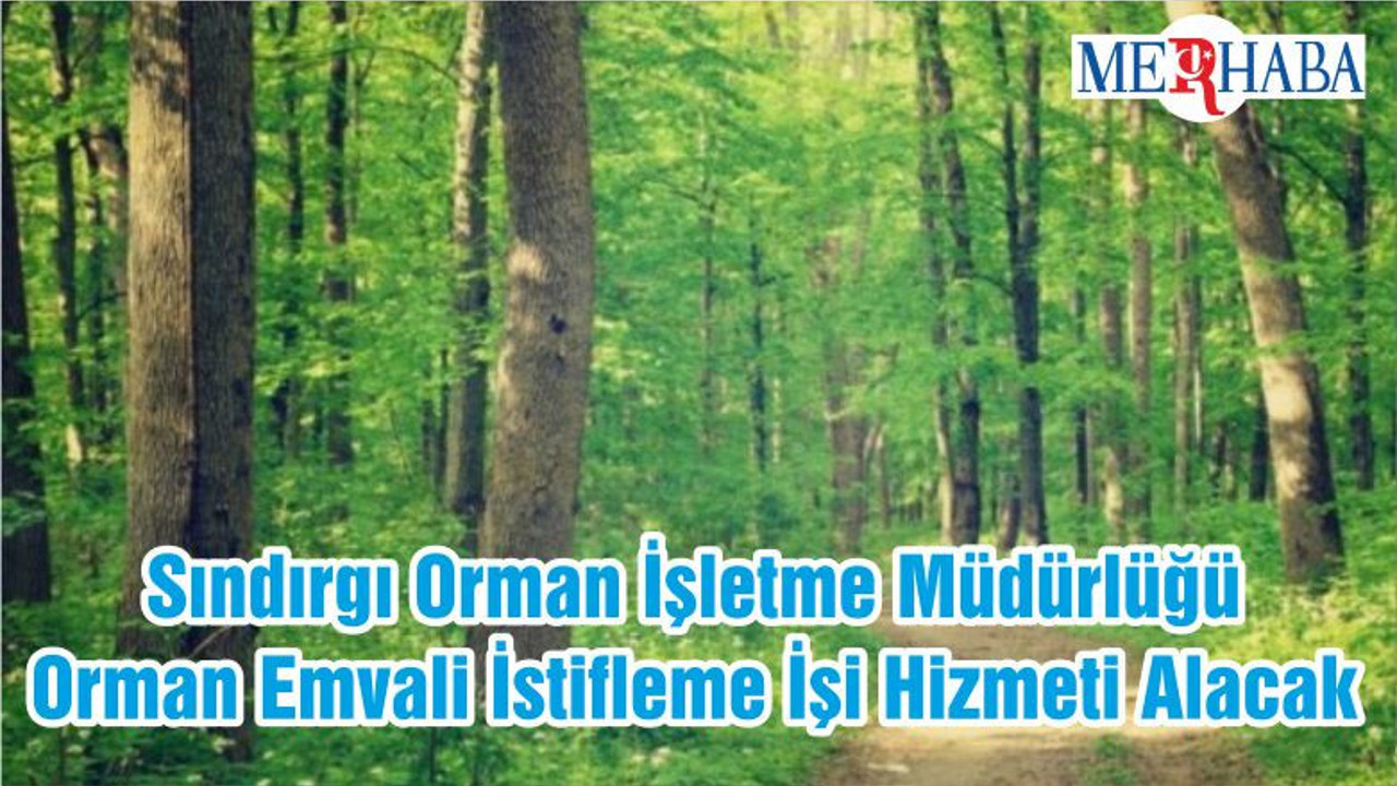 Sındırgı Orman İşletme Müdürlüğü Orman Emvali İstifleme İşi Hizmeti Alacak