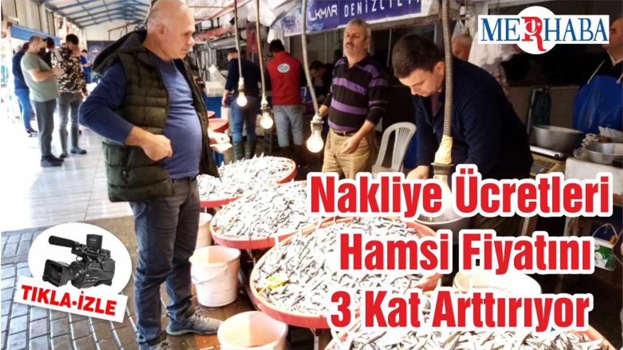 Nakliye Ücretleri Hamsi Fiyatını 3 Kat Arttırıyor