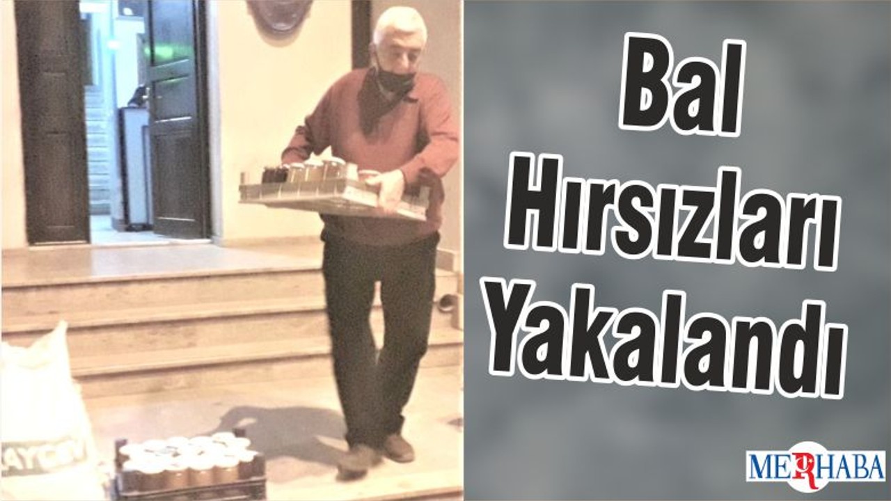 Bal Hırsızları Yakalandı