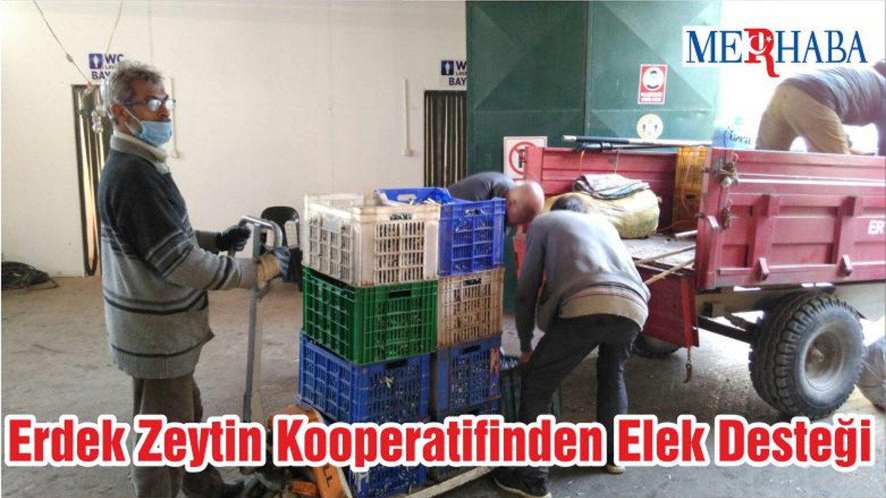Erdek Zeytin Kooperatifinden Elek Desteği