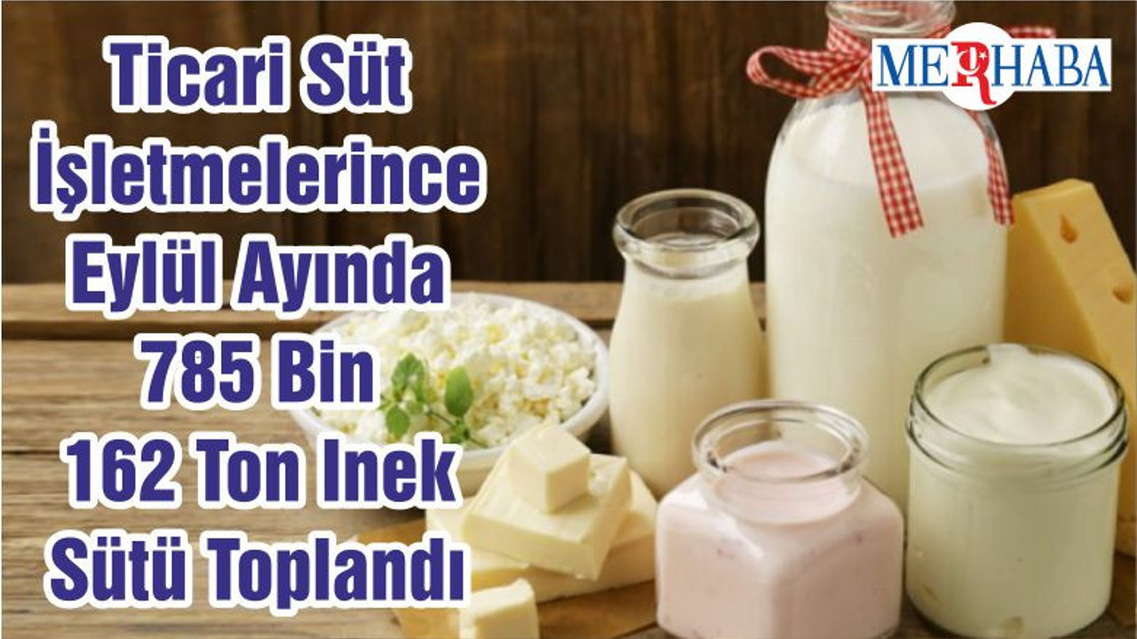 Ticari Süt İşletmelerince Eylül Ayında 785 Bin 162 Ton Inek Sütü Toplandı