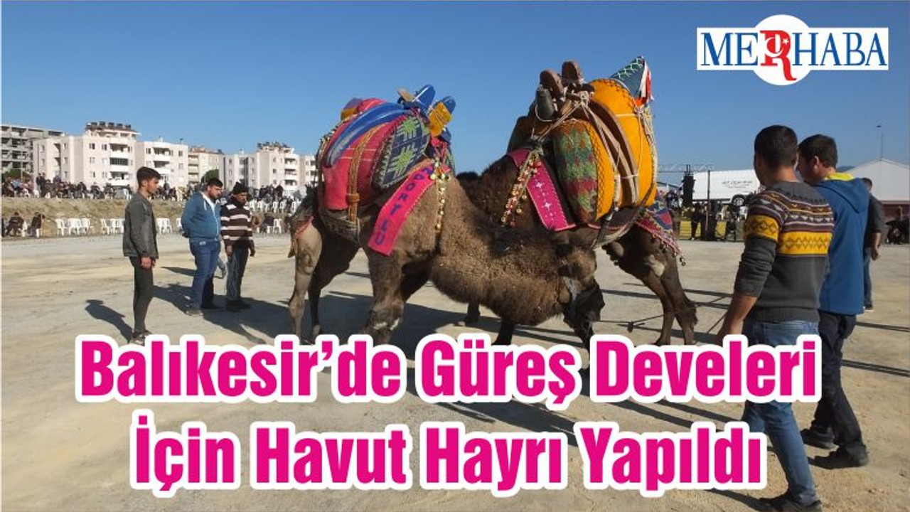 Balıkesir’de Güreş Develeri İçin Havut Hayrı Yapıldı
