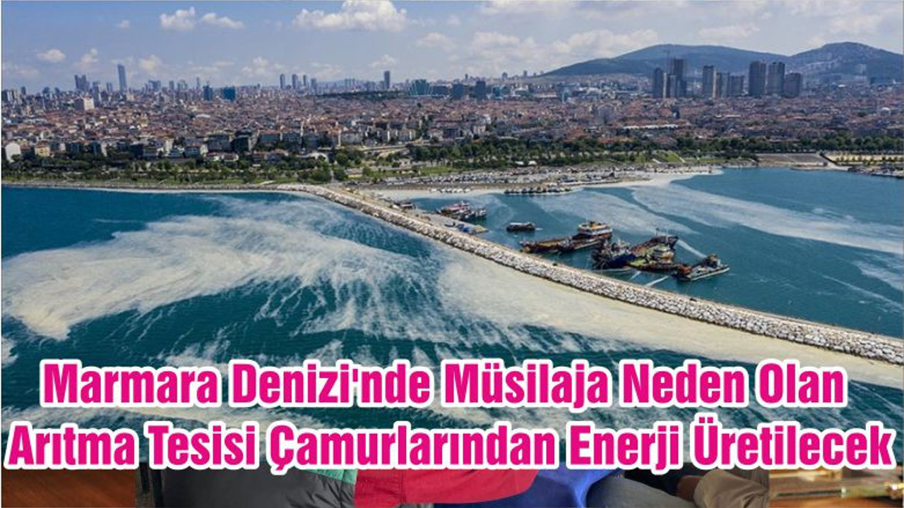 Marmara Denizi'nde Müsilaja Neden Olan Arıtma Tesisi Çamurlarından Enerji Üretilecek