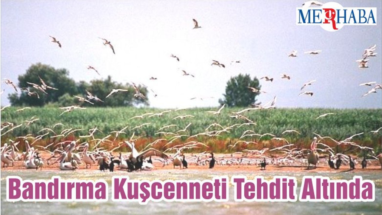 Bandırma Kuşcenneti Tehdit Altında