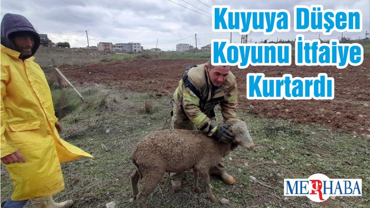 Kuyuya Düşen Koyunu İtfaiye Kurtardı
