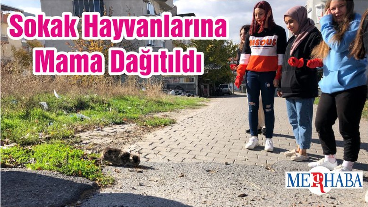Sokak Hayvanlarına Mama Dağıtıldı