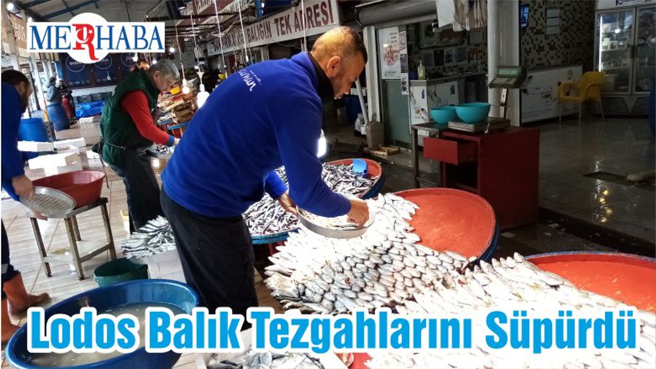 Lodos Balık Tezgahlarını Süpürdü