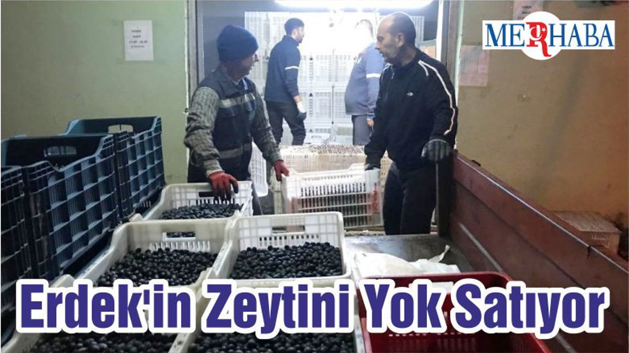 Erdek'in Zeytini Yok Satıyor