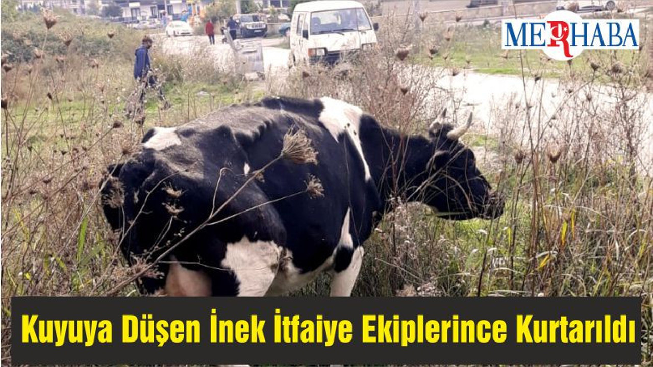 Kuyuya Düşen İnek İtfaiye Ekiplerince Kurtarıldı