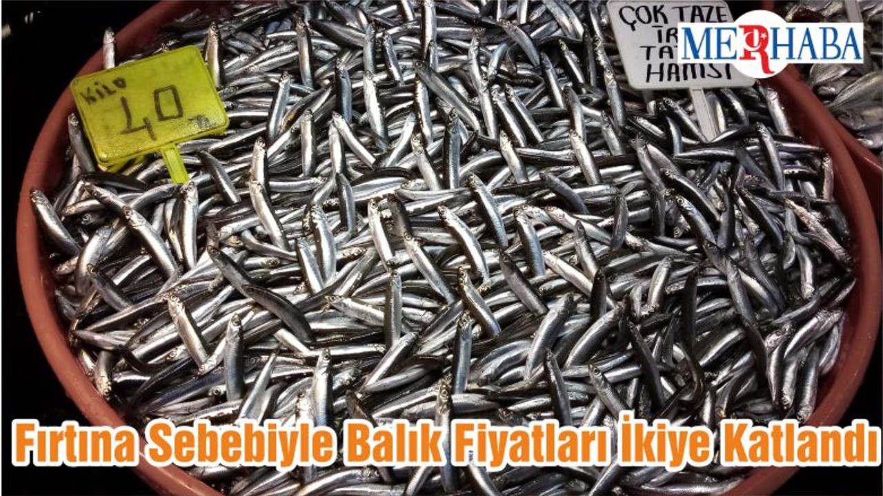 Fırtına Sebebiyle Balık Fiyatları İkiye Katlandı
