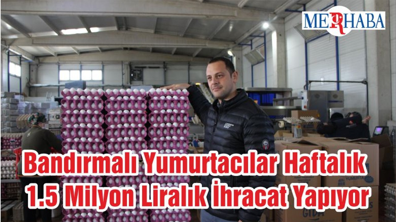 Bandırmalı Yumurtacılar Haftalık 1.5 Milyon Liralık İhracat Yapıyor