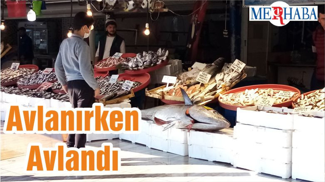 Avlanırken Avlandı