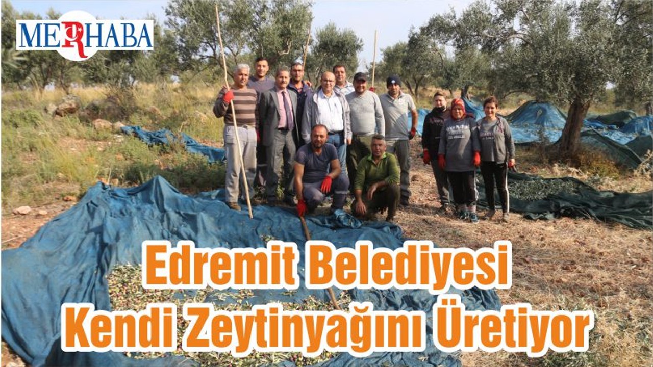 Edremit Belediyesi Kendi Zeytinyağını Üretiyor