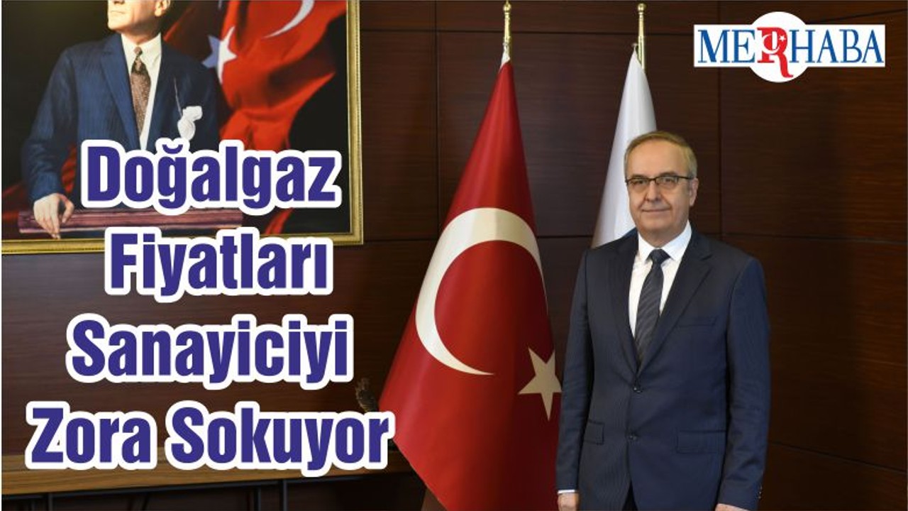 Doğalgaz Fiyatları Sanayiciyi Zora Sokuyor
