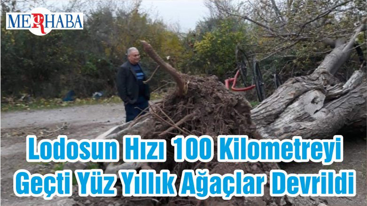 Lodosun Hızı 100 Kilometreyi Geçti Yüz Yıllık Ağaçlar Devrildi