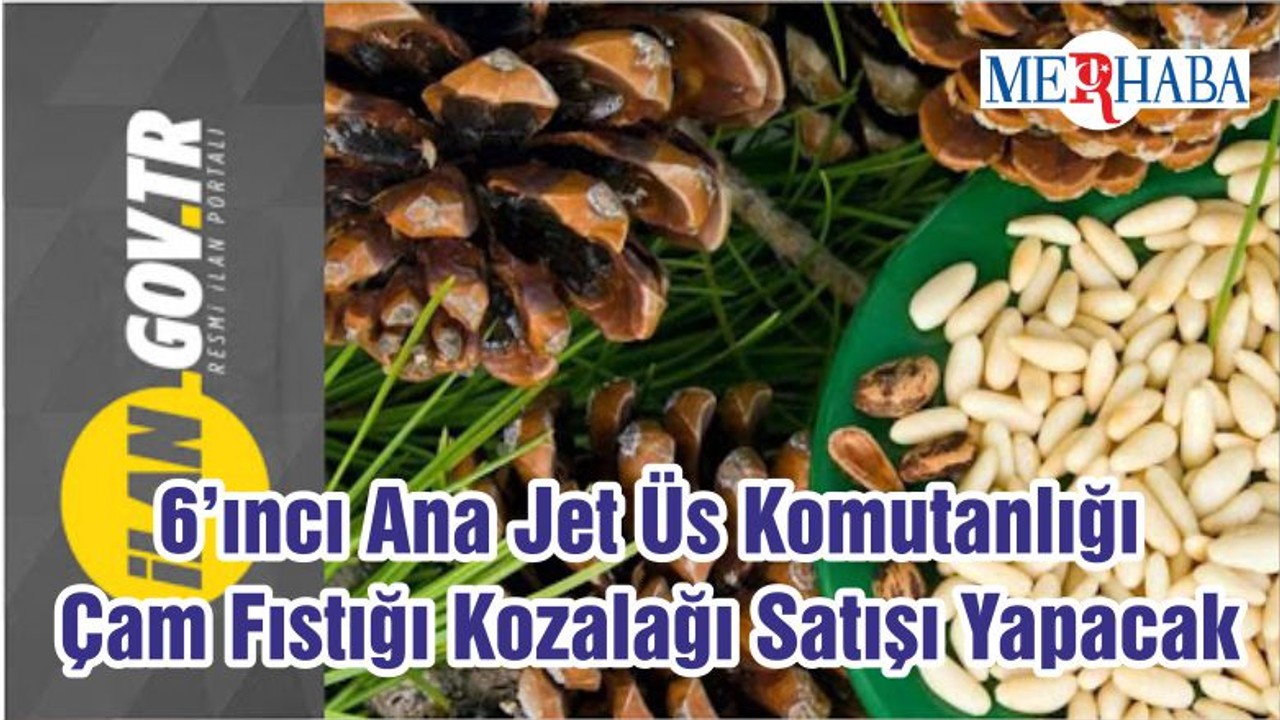 6’ıncı Ana Jet Üs Komutanlığı Çam Fıstığı Kozalağı Satışı Yapacak