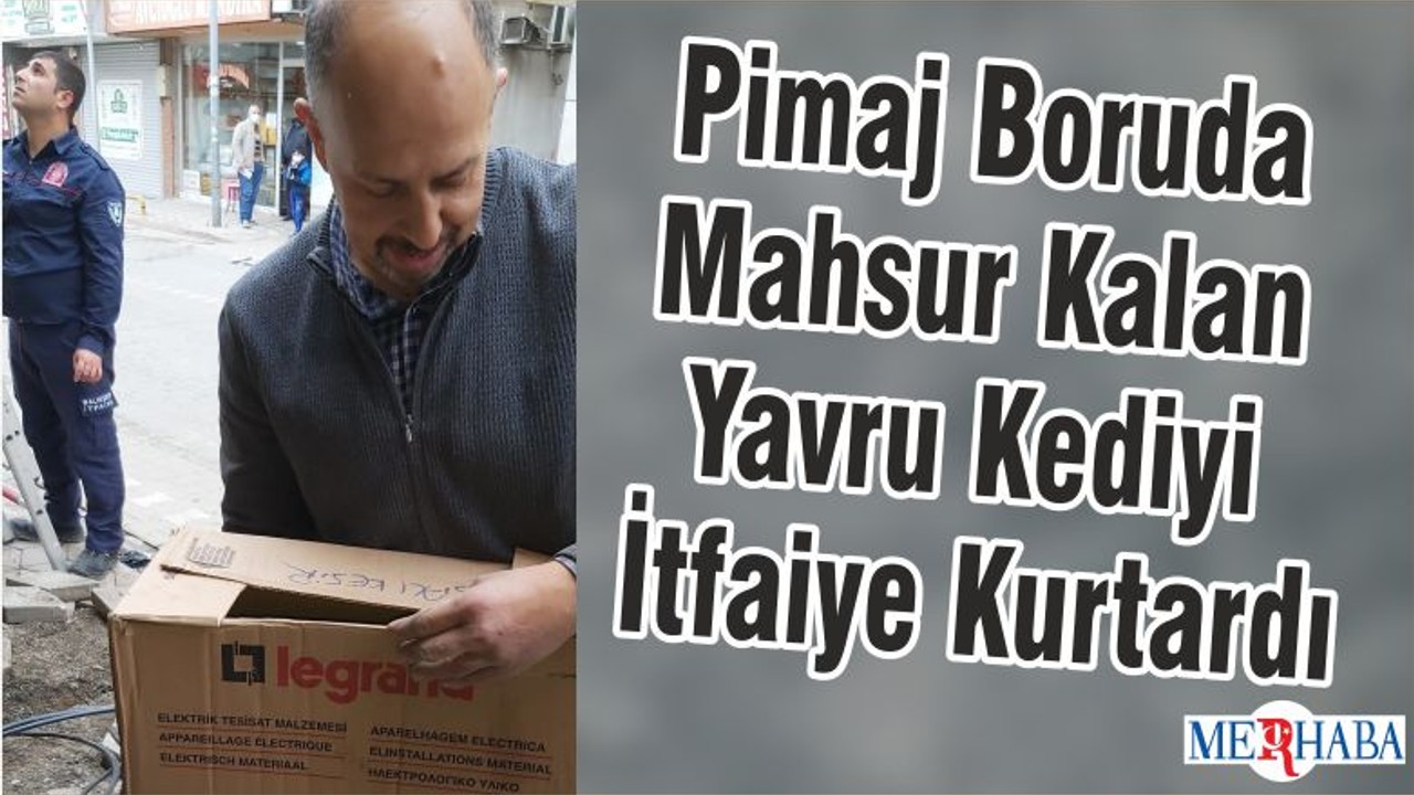 Pimaj Boruda Mahsur Kalan Yavru Kediyi İtfaiye Kurtardı