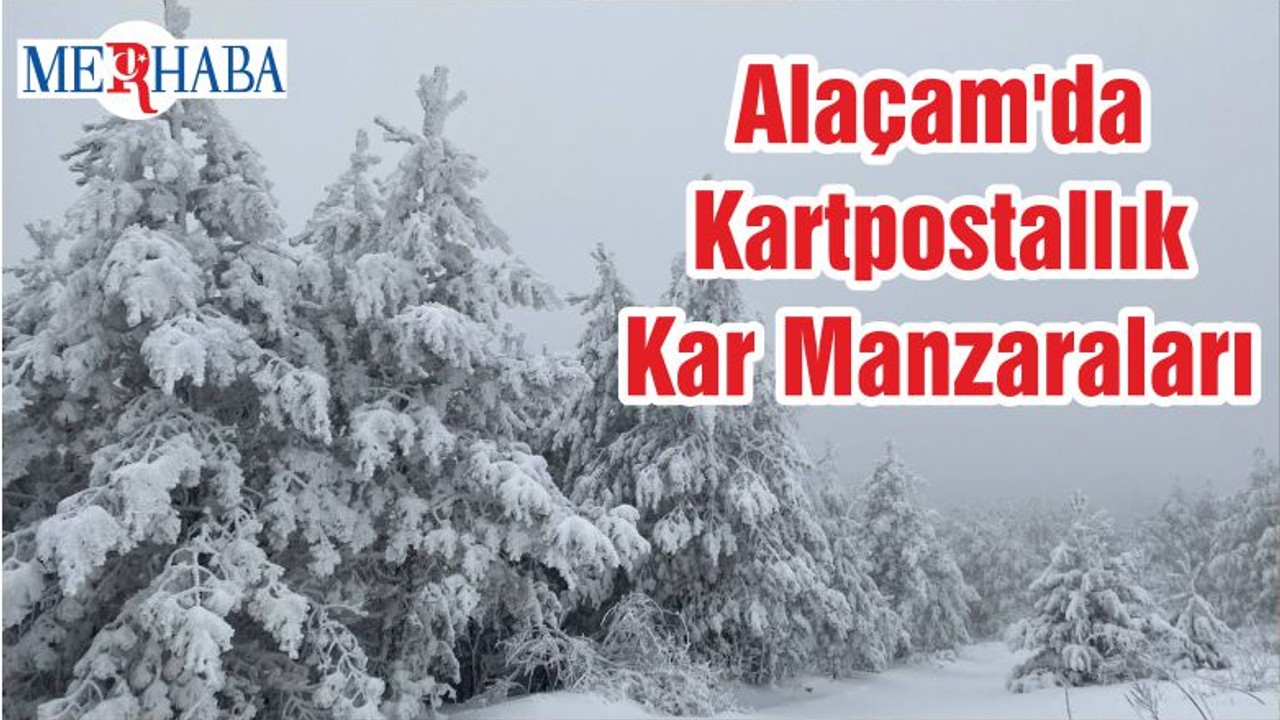 Alaçam'da Kartpostallık Kar Manzaraları