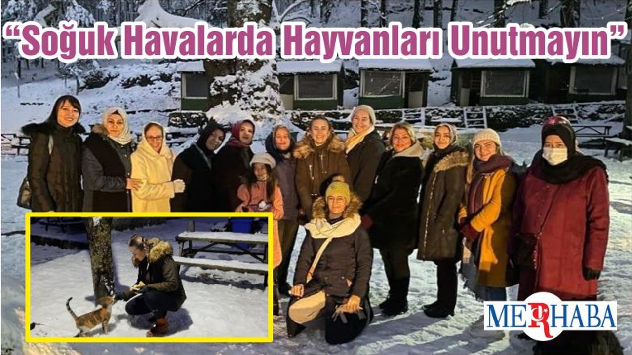 “Soğuk Havalarda Hayvanları Unutmayın”