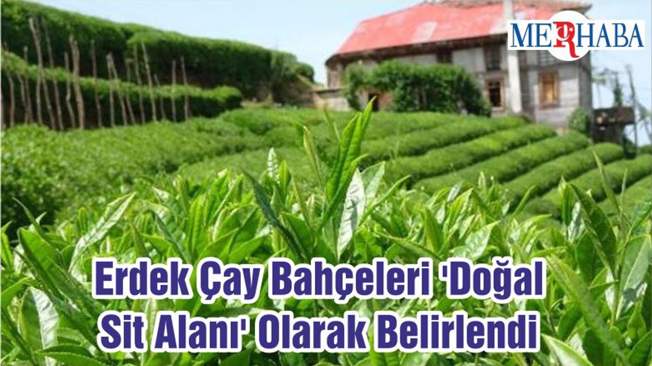 Erdek Çay Bahçeleri 'Doğal Sit Alanı' Olarak Belirlendi