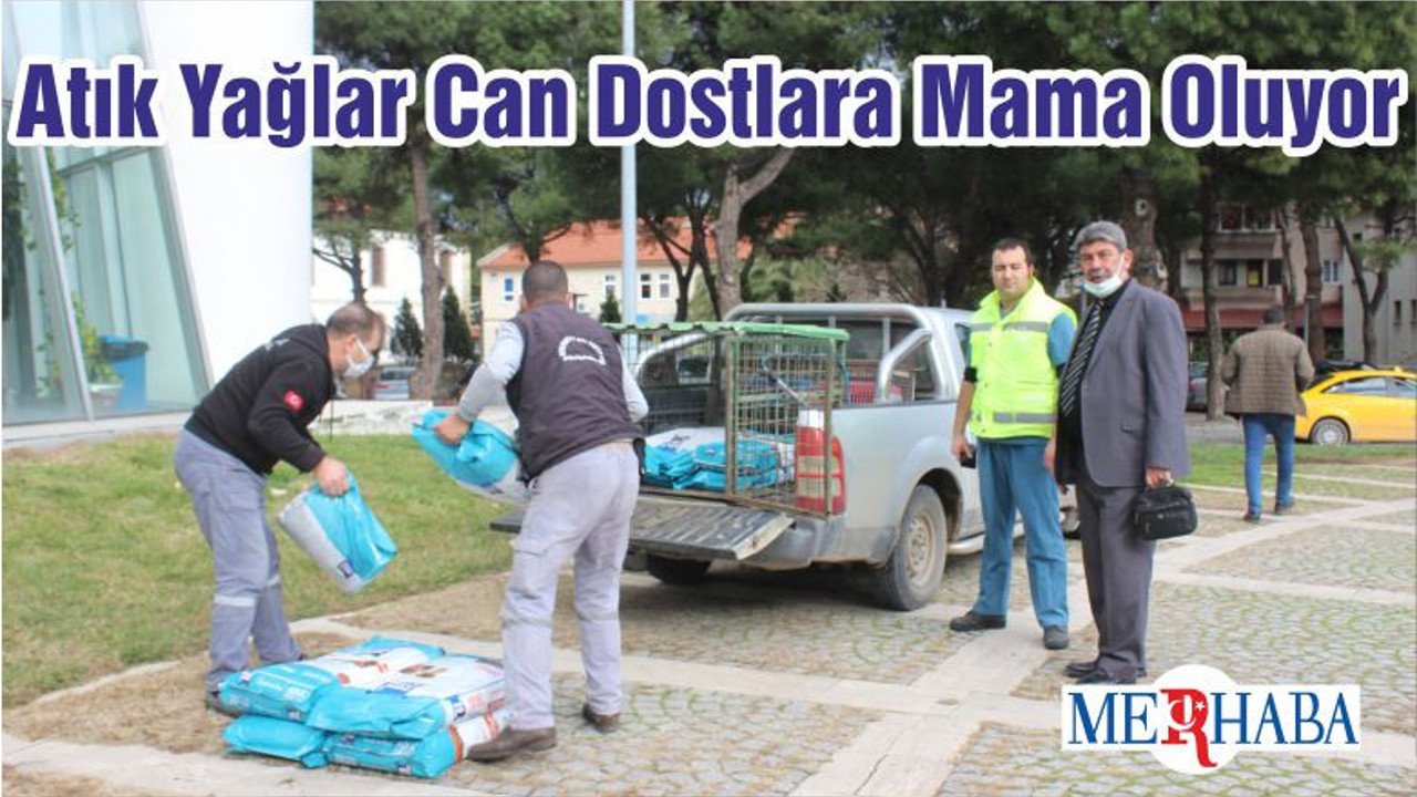 Atık Yağlar Can Dostlara Mama Oluyor