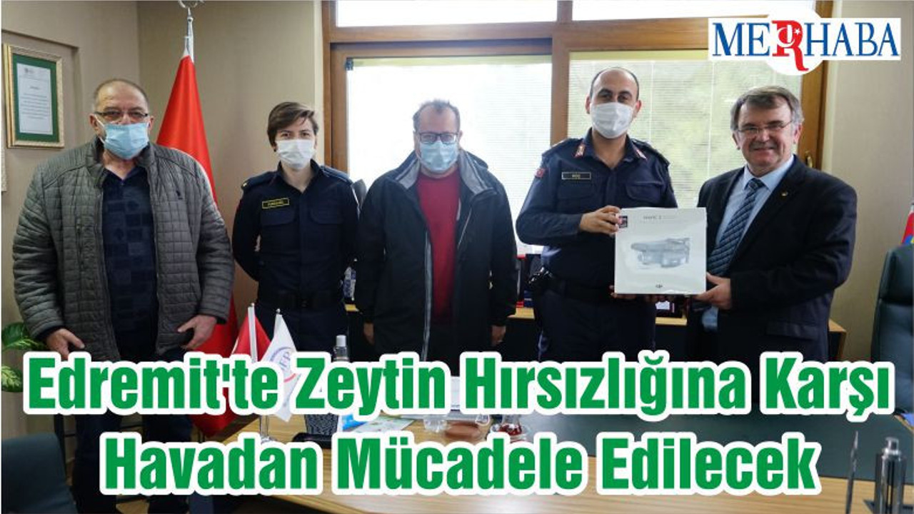 Edremit'te Zeytin Hırsızlığına Karşı Havadan Mücadele Edilecek