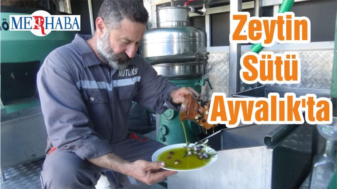 Zeytin Sütü Ayvalık'ta