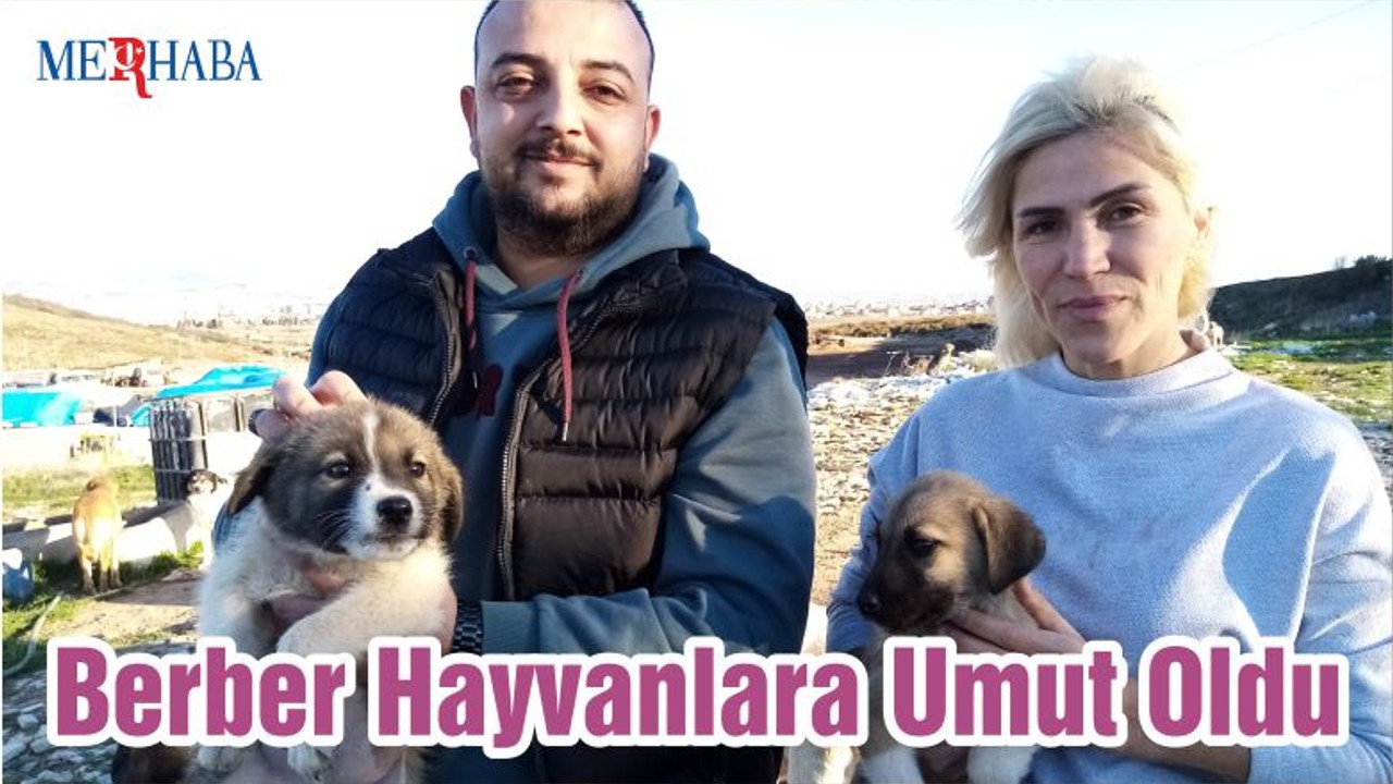 Berber Hayvanlara Umut Oldu