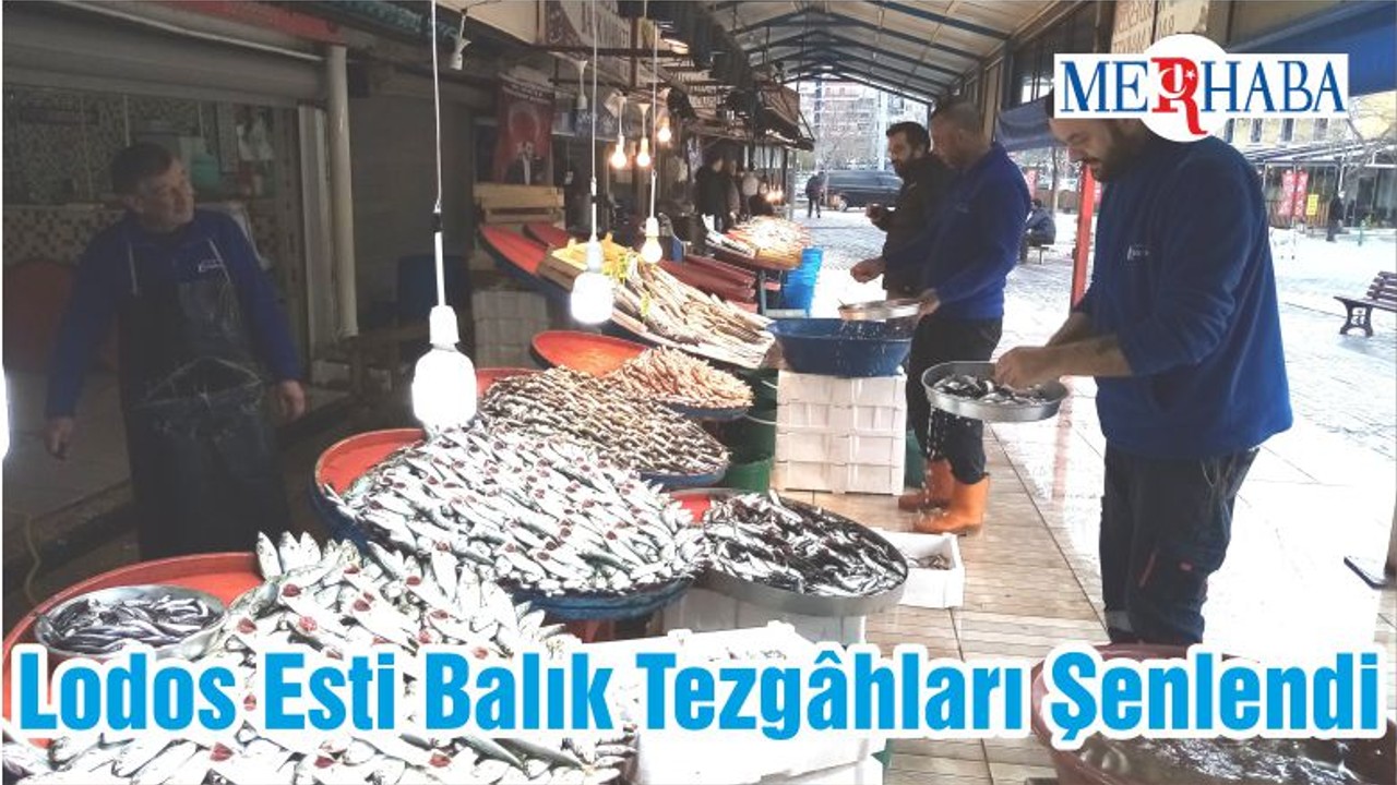 Lodos Esti Balık Tezgâhları Şenlendi