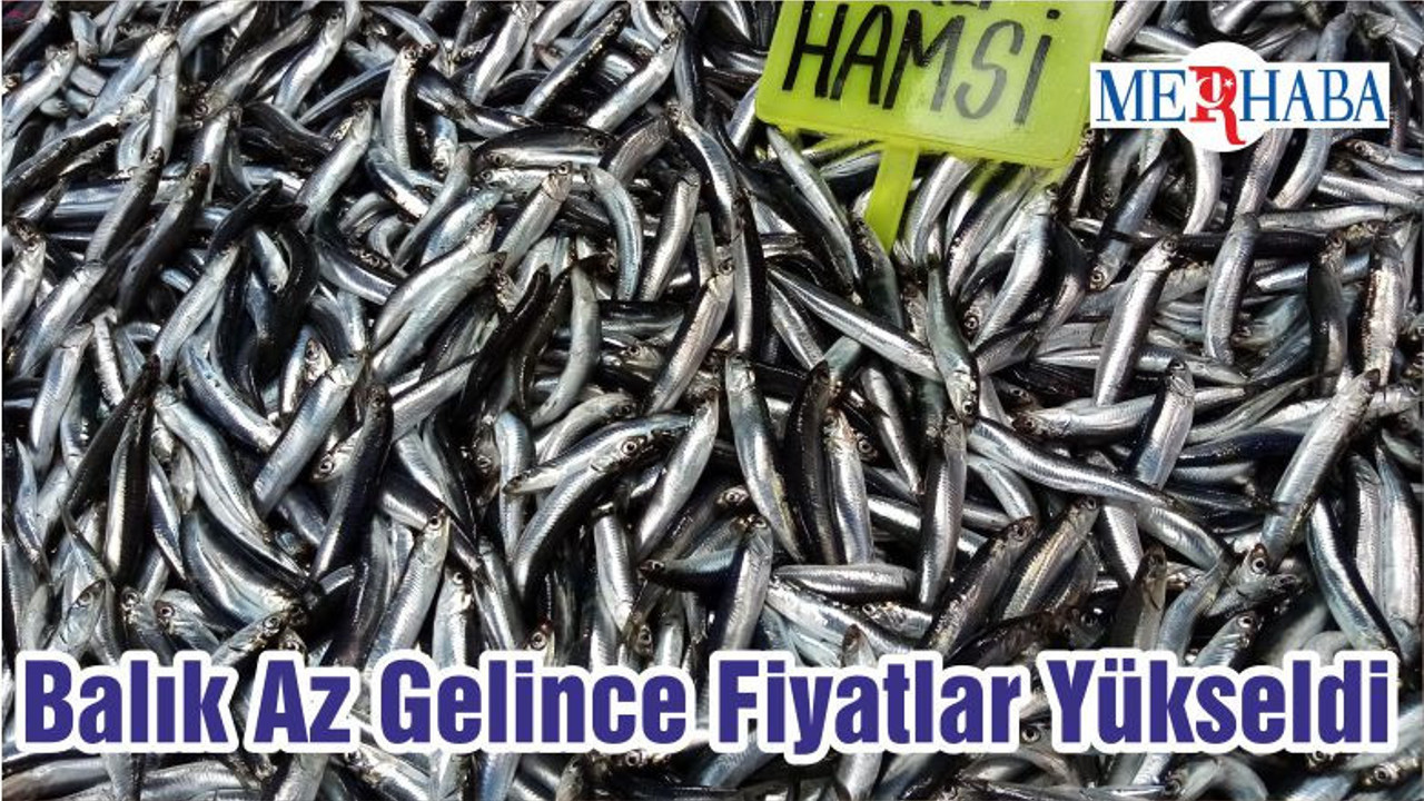 Balık Az Gelince Fiyatlar Yükseldi