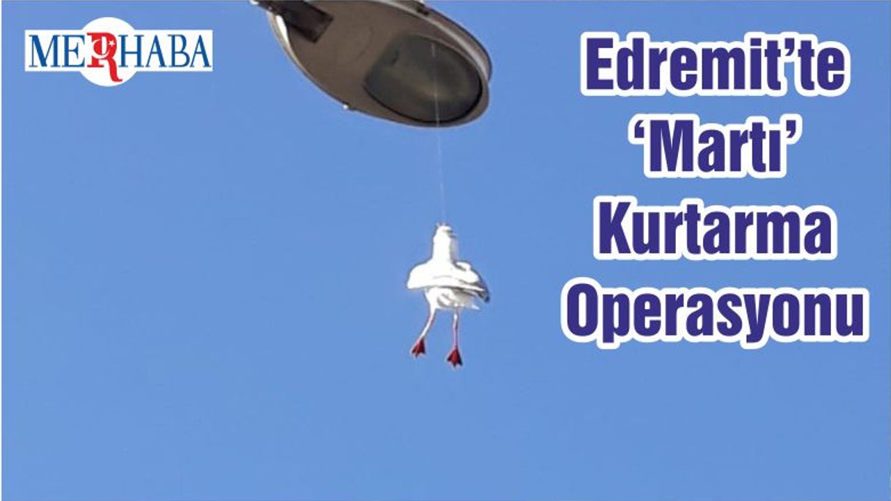 Edremit’te ‘Martı’ Kurtarma Operasyonu
