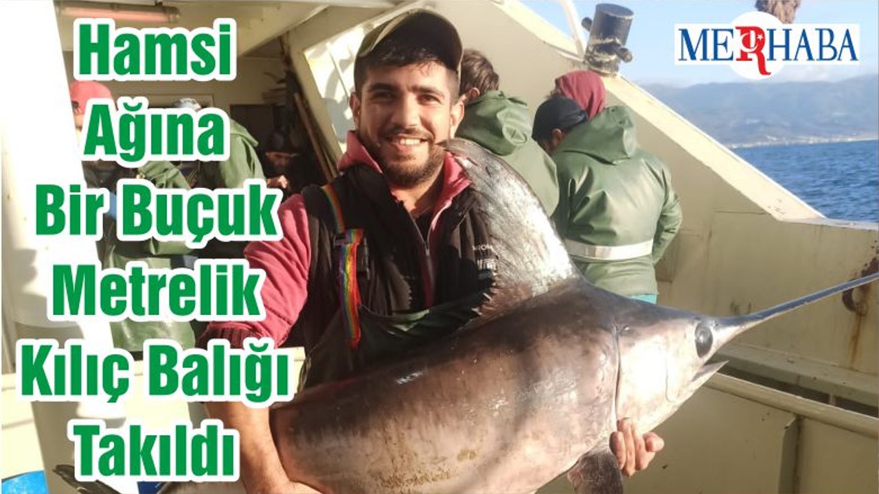 Hamsi Ağına Bir Buçuk Metrelik Kılıç Balığı Takıldı