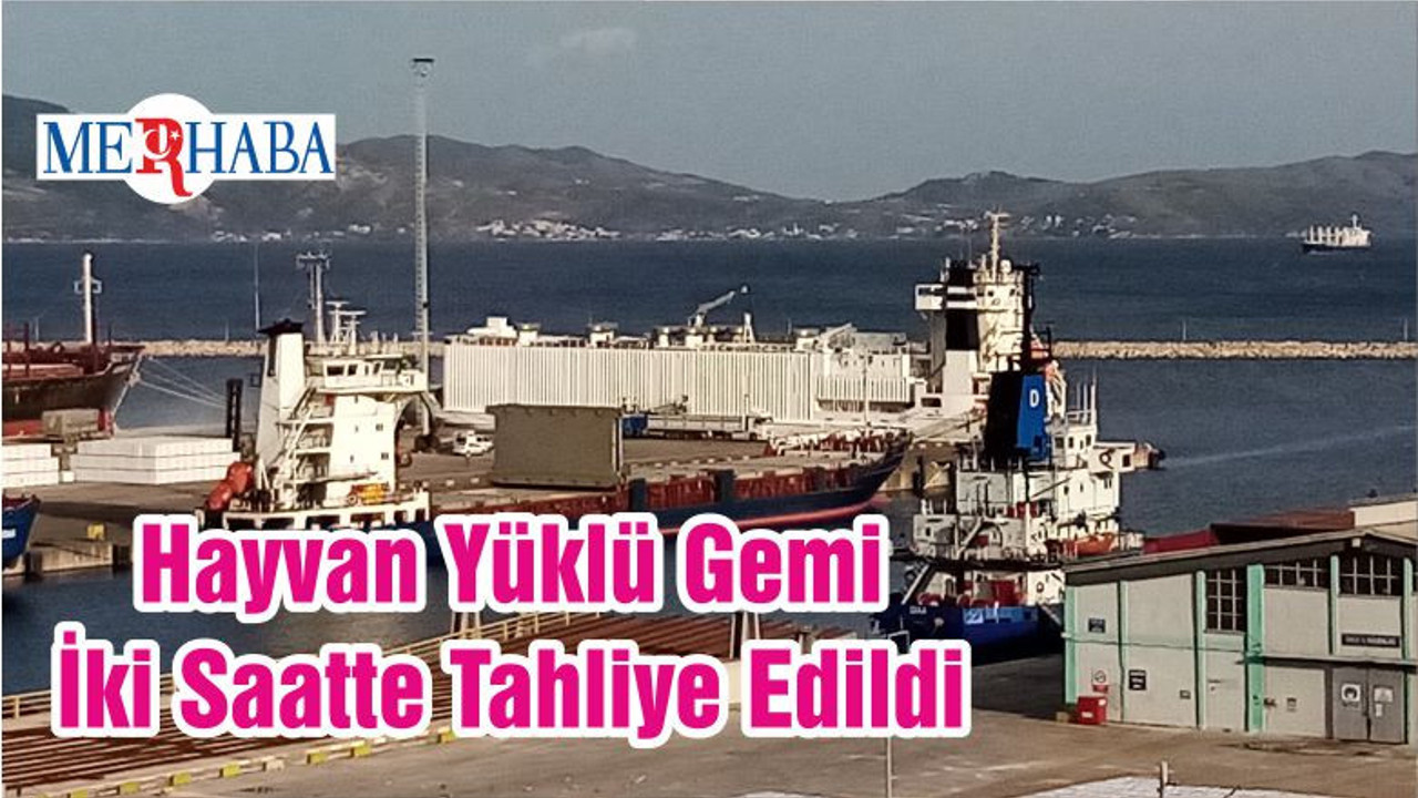 Hayvan Yüklü Gemi İki Saatte Tahliye Edildi