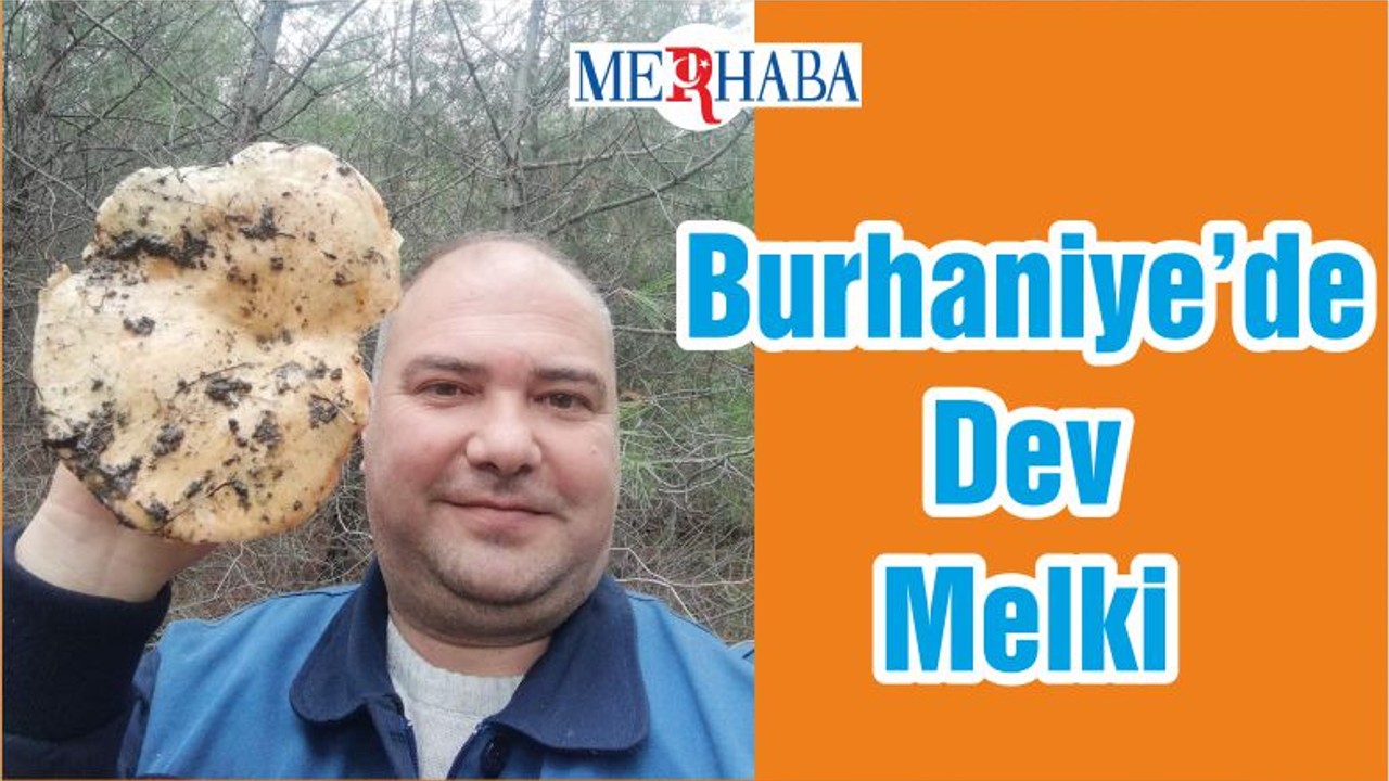 Burhaniye’de Dev Melki