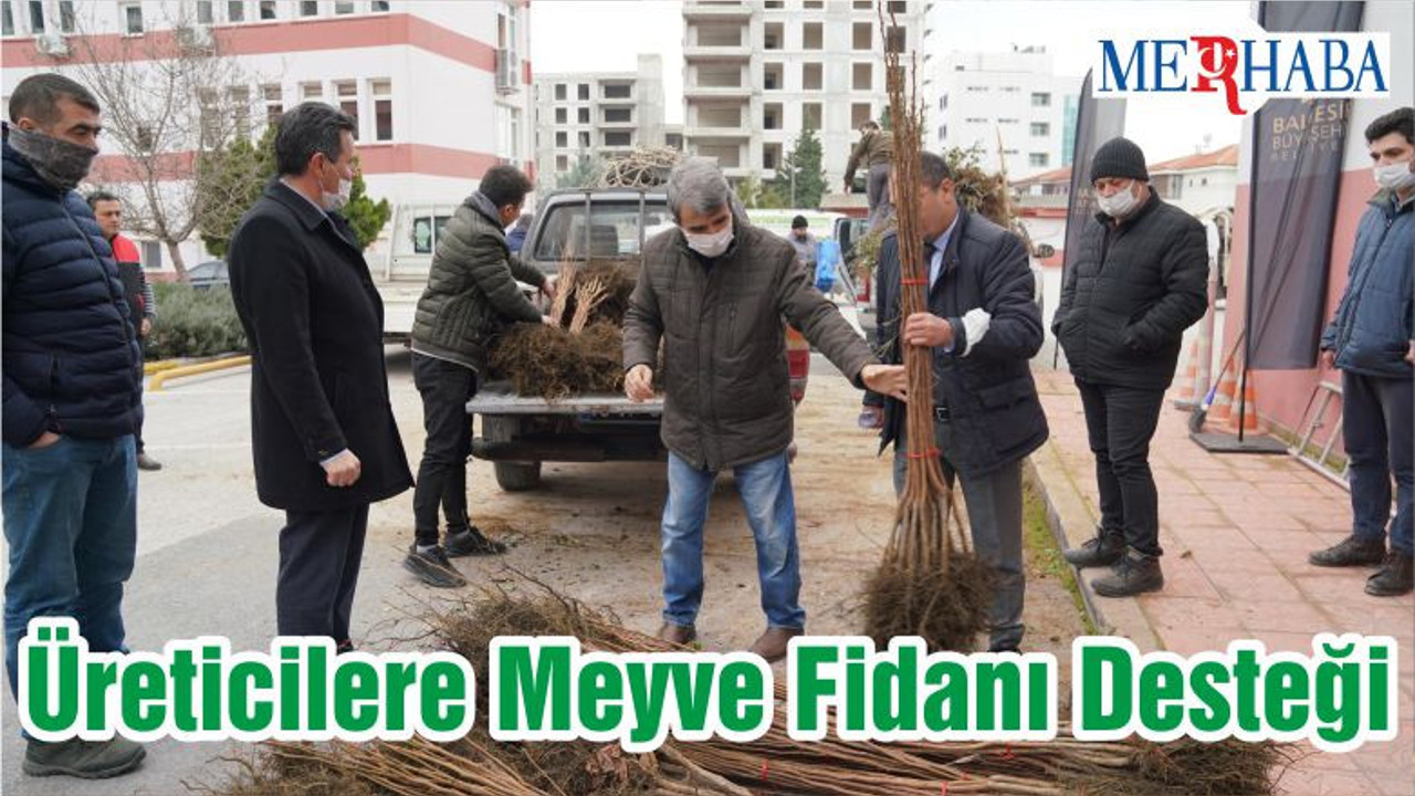 Üreticilere Meyve Fidanı Desteği