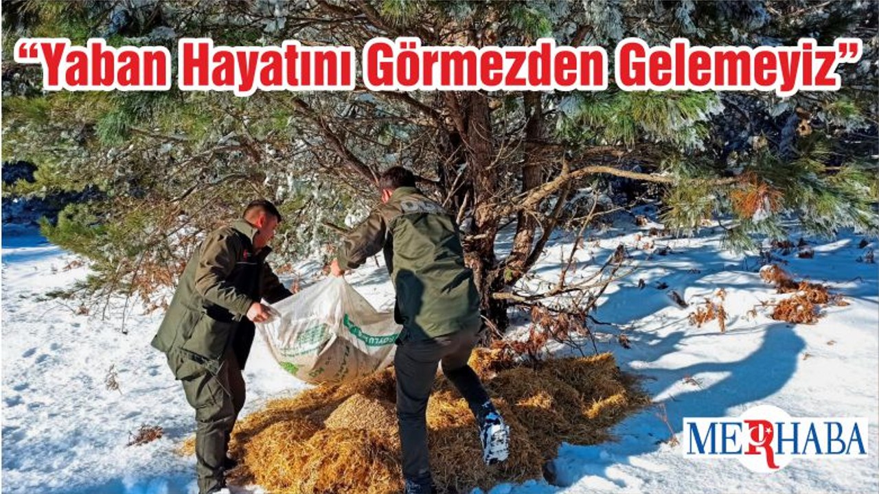 “Yaban Hayatını Görmezden Gelemeyiz”