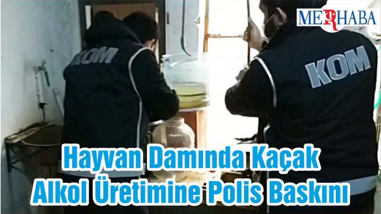 Hayvan Damında Kaçak Alkol Üretimine Polis Baskını