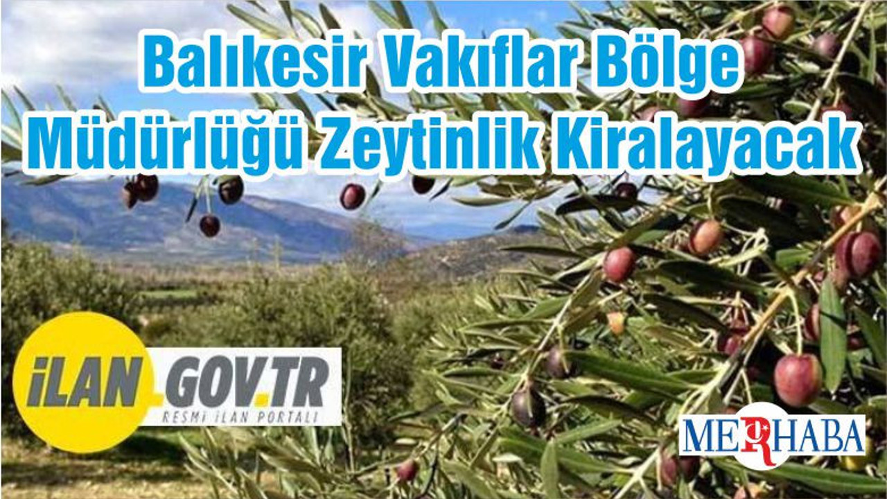 Balıkesir Vakıflar Bölge Müdürlüğü Zeytinlik Kiralayacak