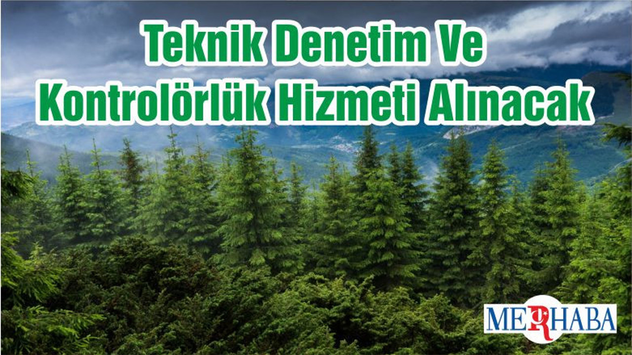 Teknik Denetim Ve Kontrolörlük Hizmeti Alınacak